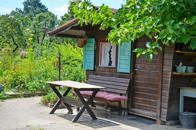 Grnes Brgerengagement: Wie sich der Heitersheimer Klostergarten zum Gemeinschaftsgarten entwickelt