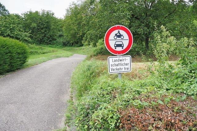 Furchen auf Malterdinger Wirtschaftsweg sorgen fr Sorgenfalten bei Beklagten