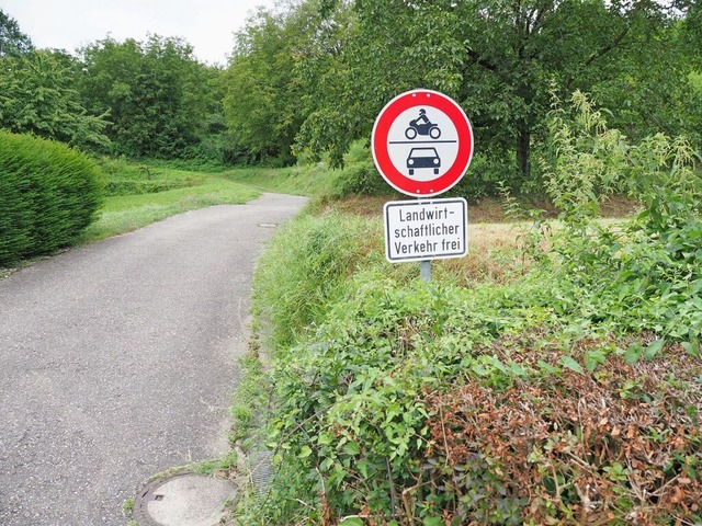 Der Feldweg zum Bienenberg ist teilweise wieder in Stand gesetzt.  | Foto: Michael Haberer