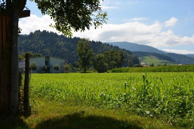 Fehlendes Gesetz fr Stambulant-Pflegekonzept gefhrdet zwei Seniorenheime im Kreis Emmendingen