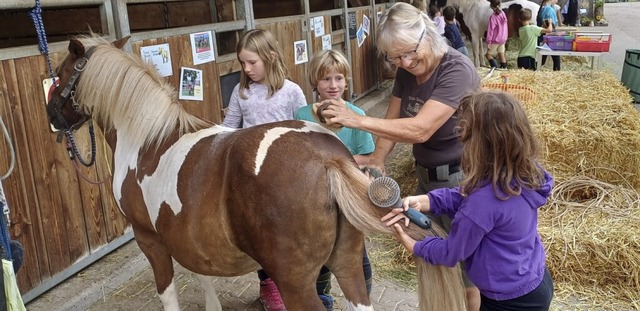 Heidi Behringer  zeigt drei Mdchen, wie man ein Pony striegelt.  | Foto: Reinhard Herbrig