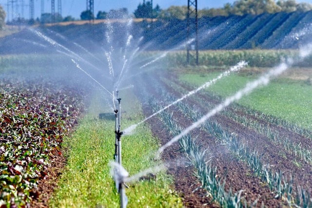 Viele Landwirte nutzen im Sommer Grundwasser, um ihre Felder zu bewssern.  | Foto: Siegfried Gollrad