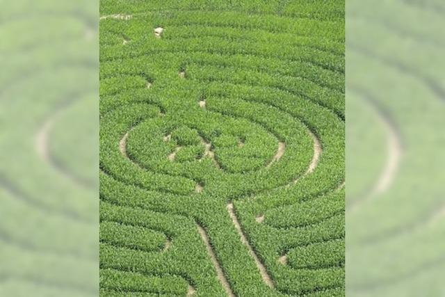 Das Maisfeld-Labyrinth bietet Rtselspa und Regendusche