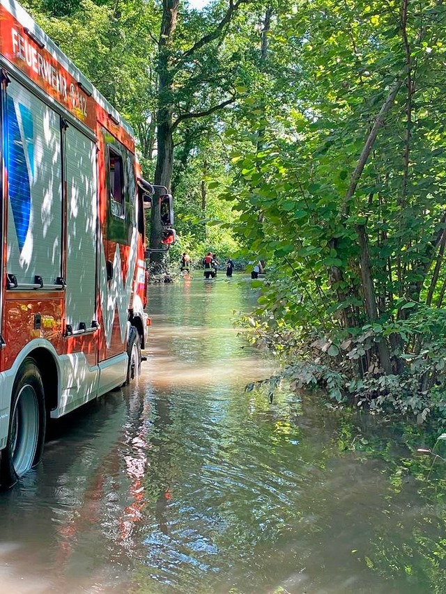 Auch ins Wasser waten die beiden Feuerwehren gemeinsam.  | Foto: Feuerwehr Rust & Kappel-Grafenhausen