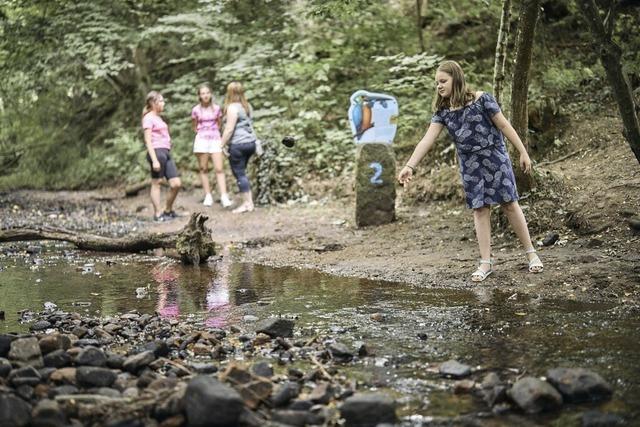 Spielerisch die Natur im Sulzbachtal entdecken