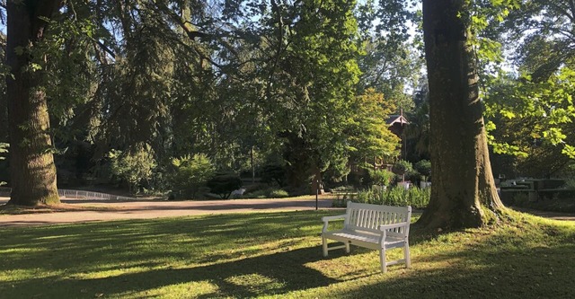 Der Stadtpark  bietet bei den hohen Temperaturen schattige Pltzchen.  | Foto: Stadt Lahr