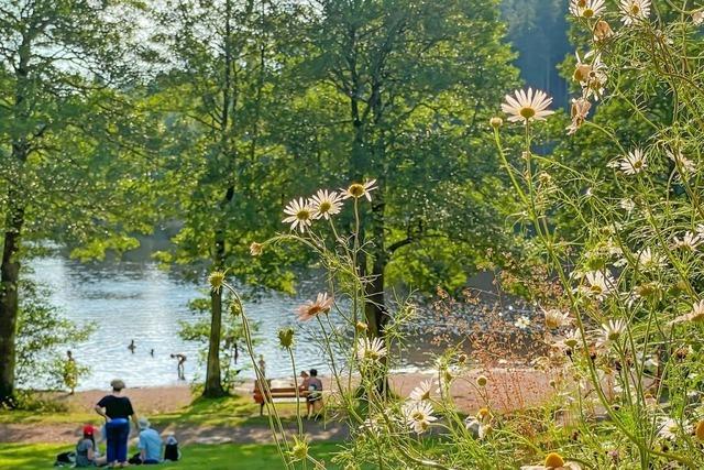 Touristenschwund am Schlchtsee: 