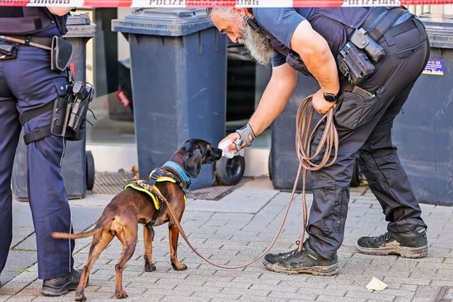 Ein Sprhund schnuppert an einer Geruc...en Angreifer von Solingen aufzuspren.  | Foto: Christoph Reichwein (dpa)