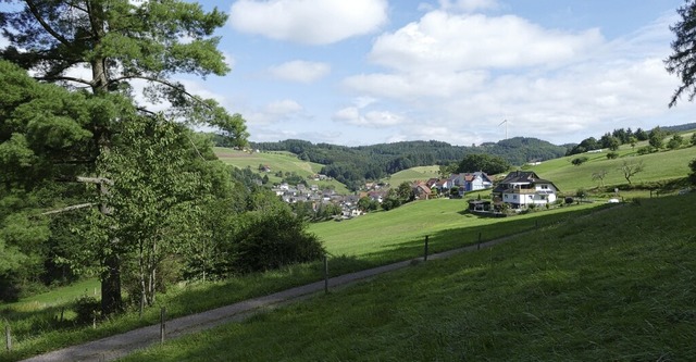 Je zwei Sportgerte sind in der Nhe d...niesteinweg in Schweighausen geplant.   | Foto: Beate Zehnle-Lehmann