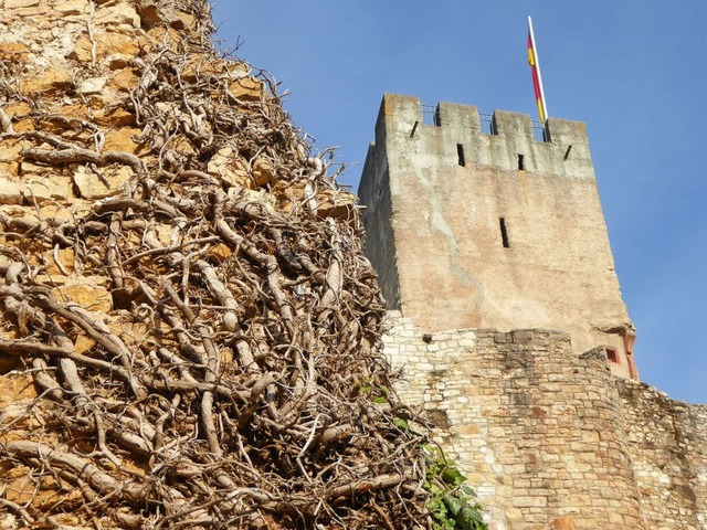 An der Burg Rtteln treffen Natur und Bauwerk aufeinander.  | Foto: Sabine Ehrentreich