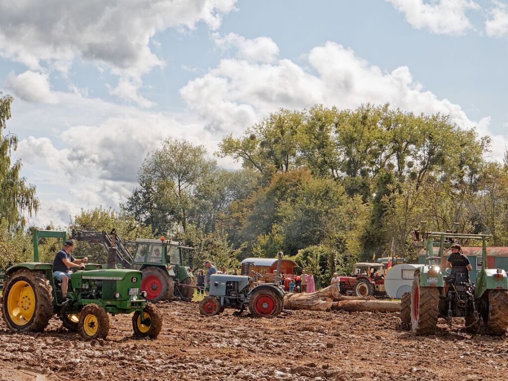 Auf in den Schlamm ... Szenen vom 34. Bulldog- und Oldtimertreffen der Bulldog- und Schlepperfreunde Oberhausen am Sonntag.