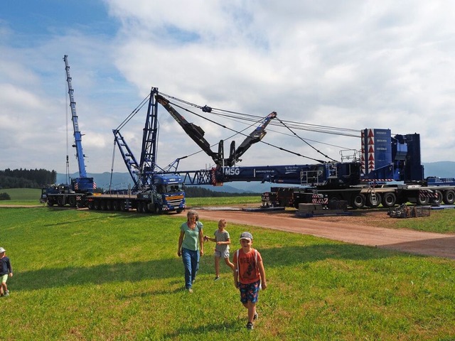 Wie Windrder mit dem Kran auf- und ab...Kinder beim Ferienprogramm in Freiamt.  | Foto: Benedikt Sommer