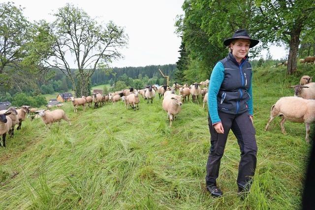 Warum eine 17-Jhrige aus Bubenbach Schferin werden will