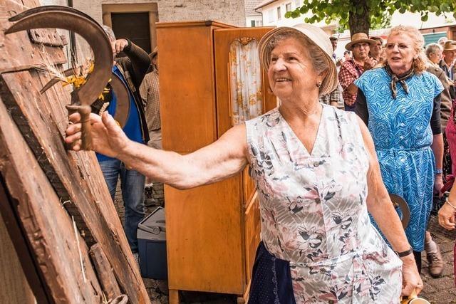 Erntedank und Bestechung: Wie in Steinenstadt die Tradition der Sichelhenke gepflegt wird