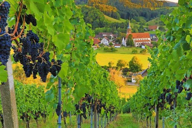 Ein Sommertag in Glottertal: Wanderer sind hier richtig