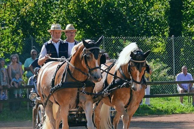 Die Stadt Kandern hat einen neuen Partner fr den Rossmrt