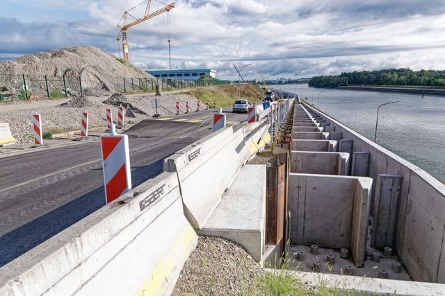 Lebensader Rhein: Die Rckkehr der Wanderfische