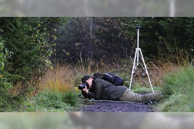 Im Haus der Natur auf dem Feldberg findet eine Foto-Workshop zum Thema Naturfotografie statt