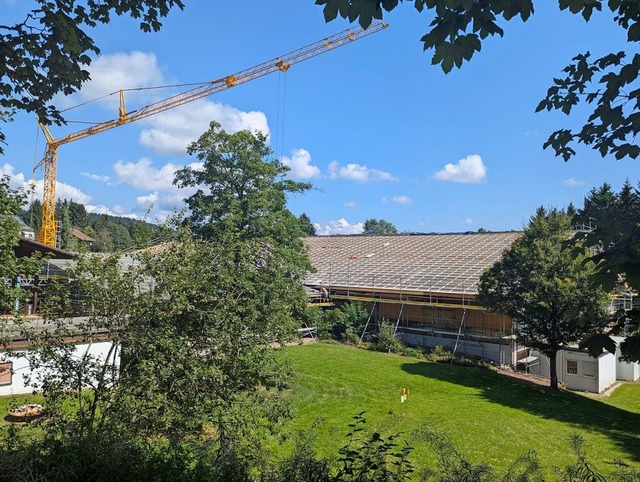 Das Dach der Eishalle in Herrischried wird aktuell erneuert.  | Foto: Julia Becker