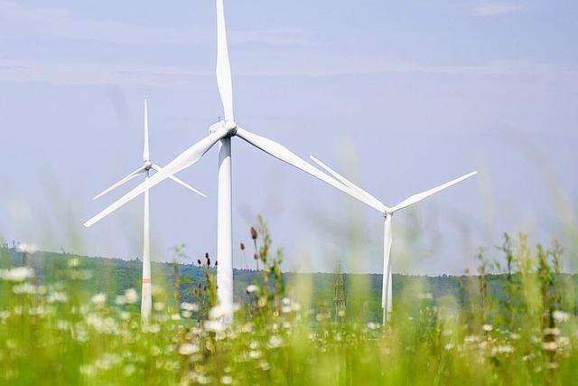 Auch Todtnauberg ist gegen Windpark Lailehhe