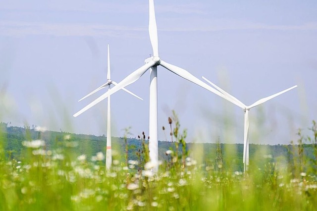 Auch in Todtnauberg gibt es Kritik an den Windkraftplnen (Symbolbild).  | Foto: Julian Stratenschulte (dpa)