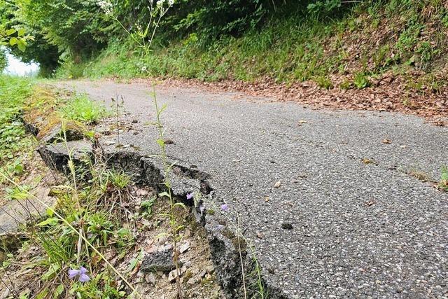 Lost Places: Bei Hasel erobert sich die Natur eine Geisterstrae zurck