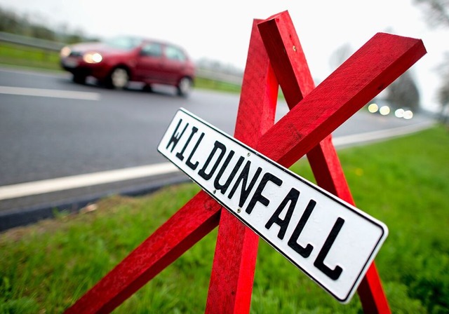 Zu Wildunfllen kommt es immer wieder (Symbolbild).  | Foto: Hauke-Christian Dittrich (dpa)