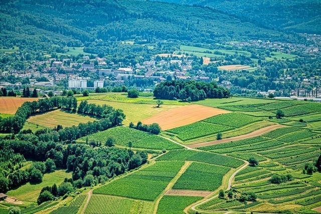 Ein Sommertag in Lahr: Rundumblick vom Lahrer Hausberg