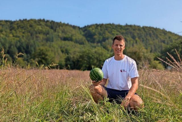 Julius Stein aus Laufenburg ist der einzige Melonenbauer am Hochrhein – und htte gerne mehr Konkurrenz