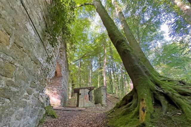 Lost Place im Mllheimer Eichwald: eine Schieanlage aus der Zeit des Ersten Weltkriegs