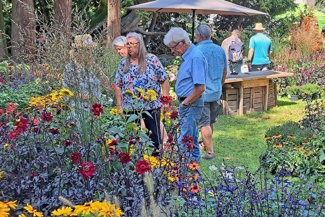 Bei der ersten Diga in Bad Sckingen gibt es Blumen, Pflanzen und jede Menge Tipps