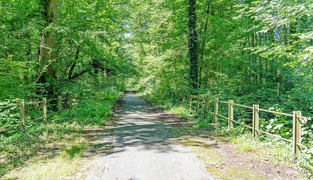 Versiegelte Wege, wie hier   im Landsc...affenstaden,  sollen   naturnah werden  | Foto: teli