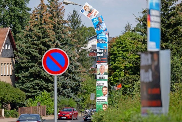 Sechs Wahlplakate von CDU, AfD und Lin... in Sachsen ein neuer Landtag gewhlt.  | Foto: Hendrik Schmidt (dpa)