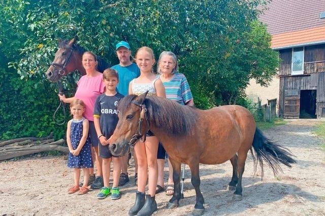 Anna (11) und Lukas Schtzle (8) aus Schwanau-Nonnenweier haben als Jungzchter ein Auge fr Pferde