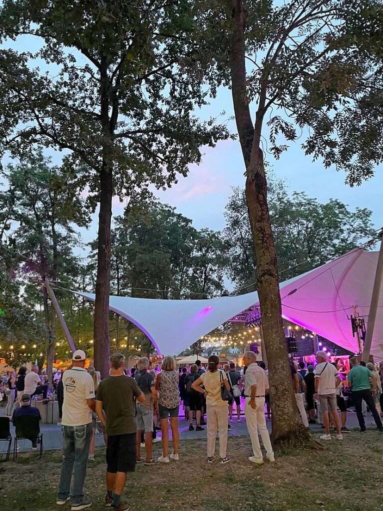 Tausende genossen auf dem Weinfest die schne Stimmung.