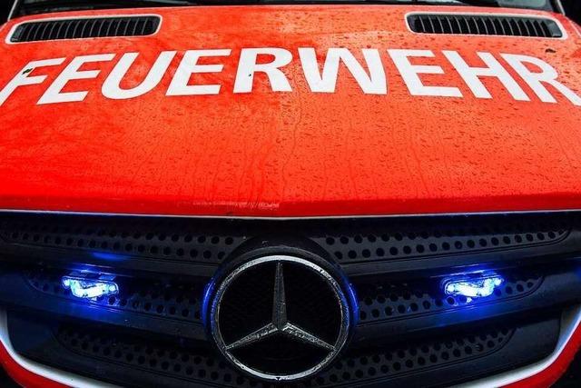 Freiburger Feuerwehr rckt wegen brennender Htte in Kleingartenanlage Obergrn aus