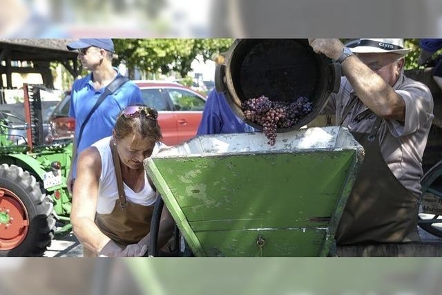 Beim Trotti-Fescht in Achkarren geht es um Wein