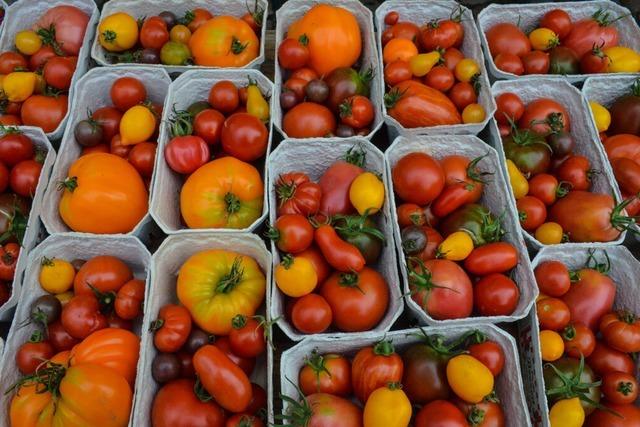 Tomaten stehen fr den Geschmack des Sommers