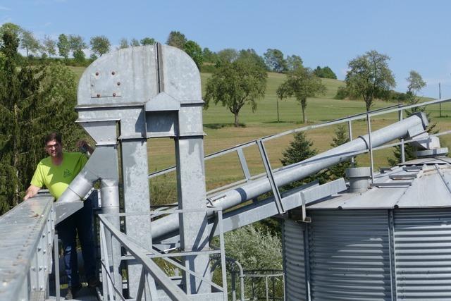 Landwirte und Mller sind enttuscht von Getreide- und Mehlqualitten in der Region Bonndorf