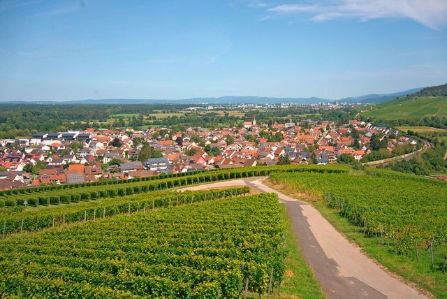 Dort hat der Wein Kultur: Blick vom Batzenberg auf Schallstadt  | Foto: Katrin Wien