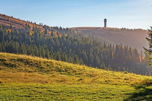 Erlebnistag im Naturschutzgebiet: Weiden am Feldberg hautnah erleben