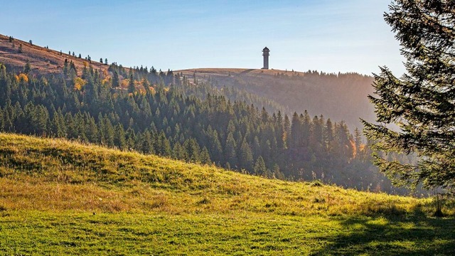 Blick auf die Weiden am Felberg  | Foto: Sebastian Schrder-Esch