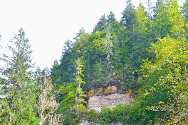 Italiener sprengen einen Pfad in die Muschelkalkwand der Wutachschlucht