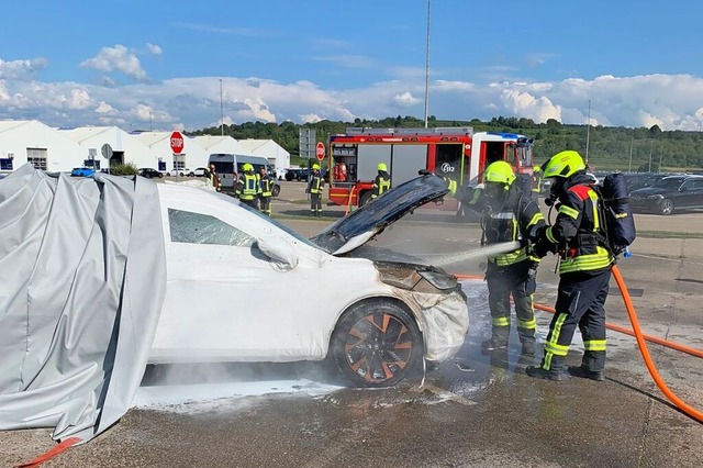 Die Feuerwehren aus Mahlberg und Kippe...gbrand auf dem Mosolf-Gelnde lschen.  | Foto: Feuerwehr Mahlberg