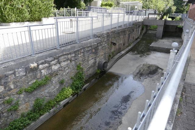 Wer stellt dem Mhlenbach in Bad Krozingen immer wieder das Wasser ab?