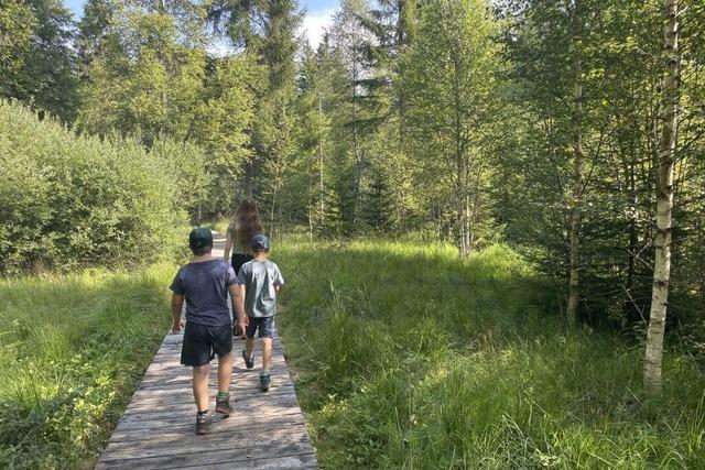 Moore, Bohlen, Gletschermhle: Unterwegs auf dem Sieben-Moore-Weg bei Herrischried