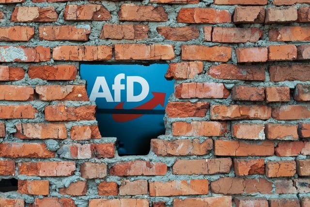 Pro & Contra: Braucht es eine Brandmauer zur AfD?