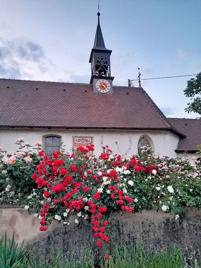 Die Johanneskapelle in Zarten von Rosen umrahmt.  | Foto: Gottfried Pfndler