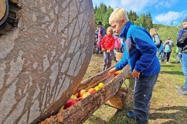 Knochenarbeit fr Mensch und Pferd: Brauchtumsfest in Raich zeigt Mhen des alten Handwerks