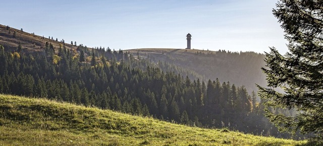 Blick auf das Naturschutzgebiet Feldberg  | Foto: Sebastian Schrder-Esch